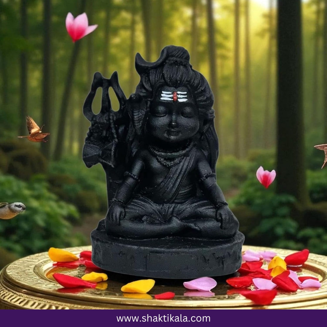 Bal Roop Shiv Murti – Spiritual Idol