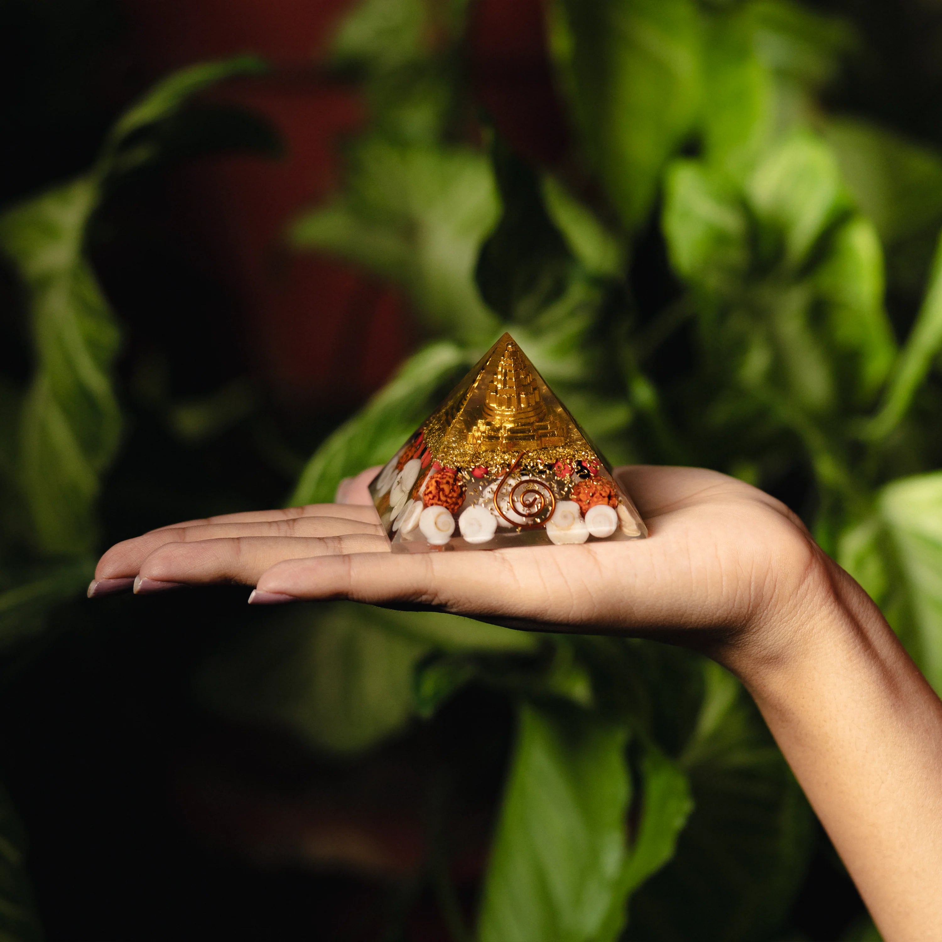 Laxmi Pyramid - Shree Yantra Gomti Chakra