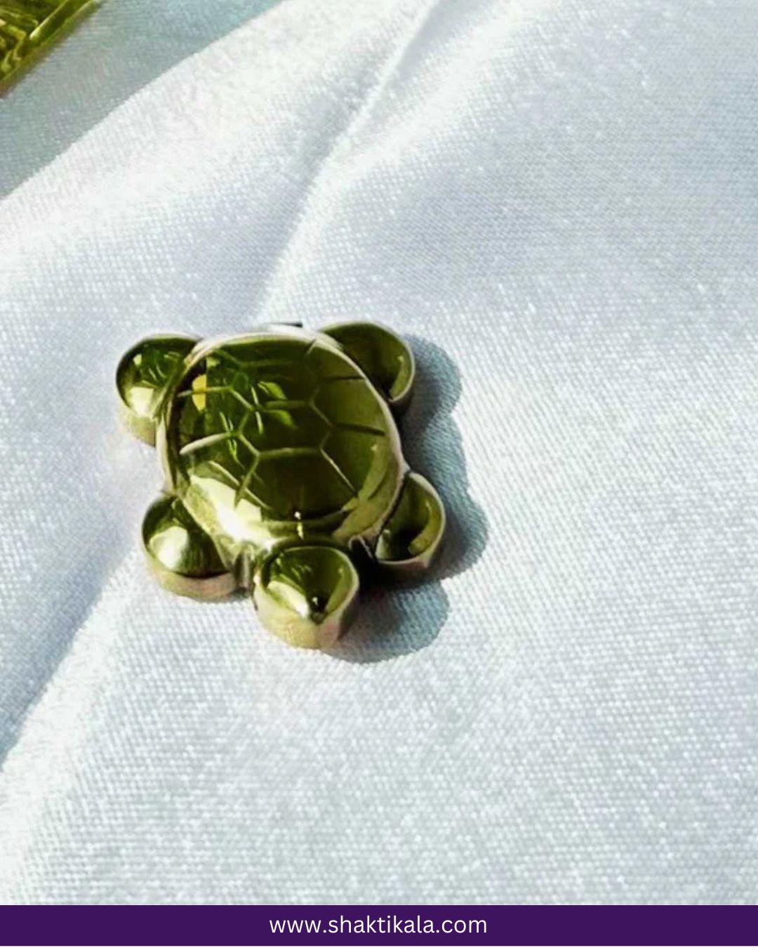 Pyrite Money Magnet Tortoise