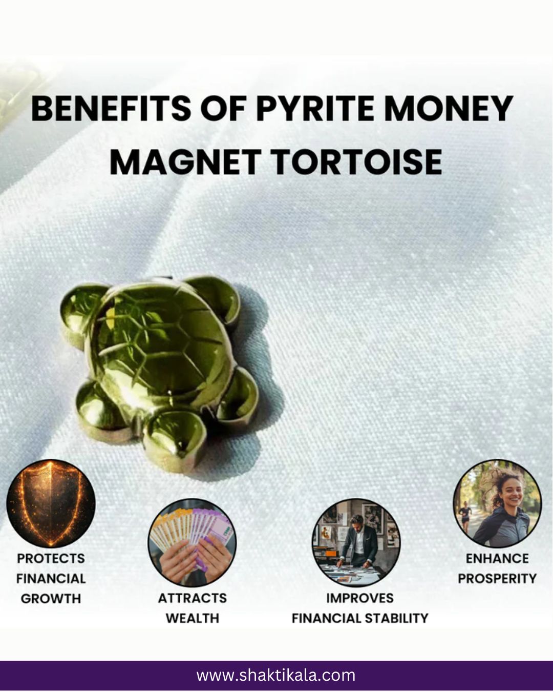 Pyrite Money Magnet Tortoise